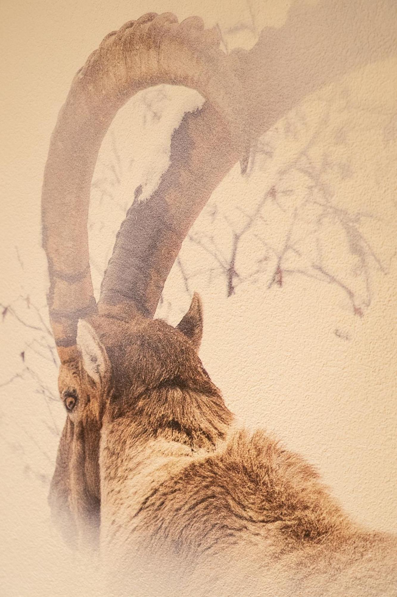 Hotel Les Chamois Verbier Pokoj fotografie